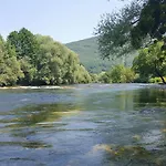 Sajra *