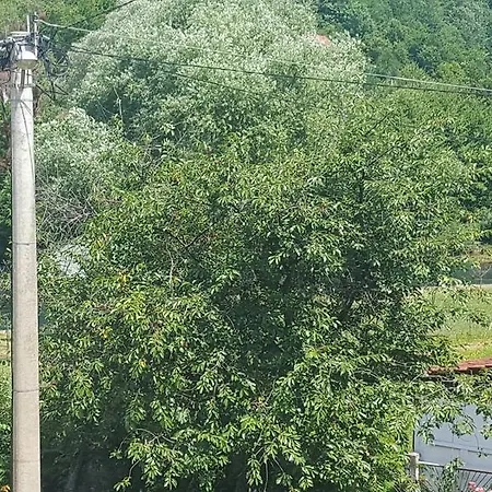 Sajra * Kulen Vakuf