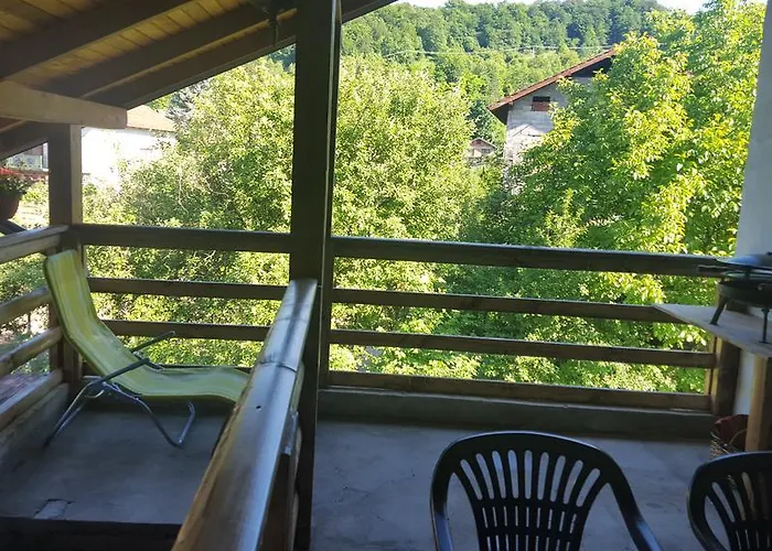 Sajra קולן וקוף