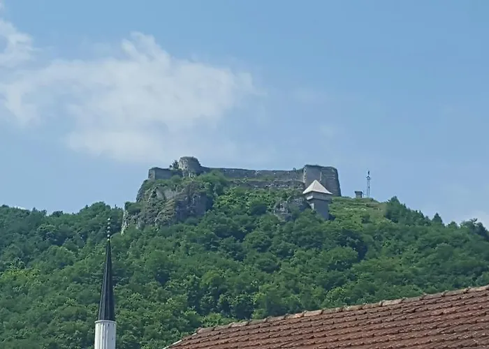 Sajra קולן וקוף