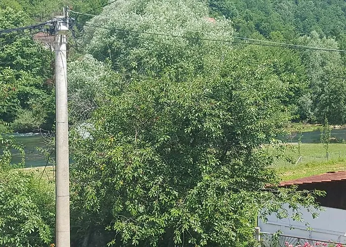 Sajra * קולן וקוף